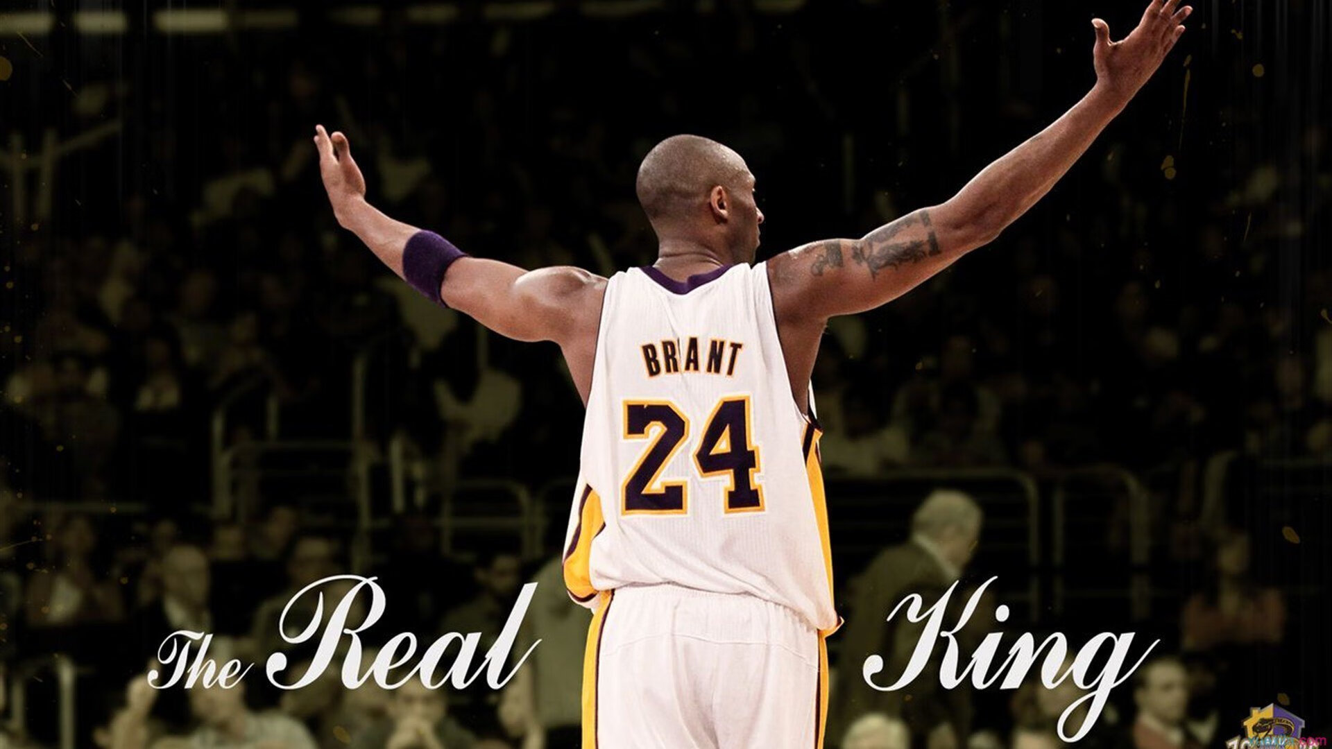 《Dota2》天命之战：全世界最强战队激烈角逐！