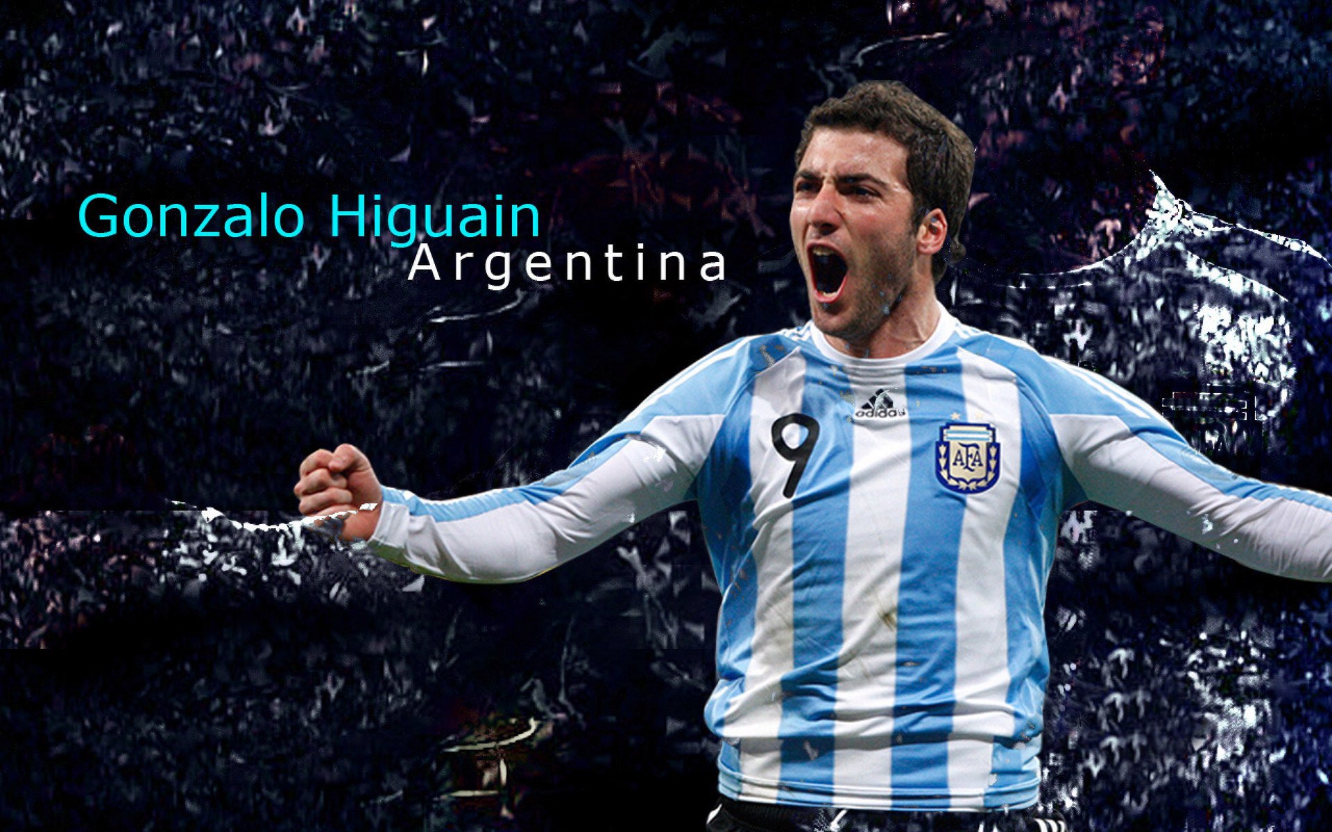 网球国家队体能储备计划全面启动，网球运动实用体能训练